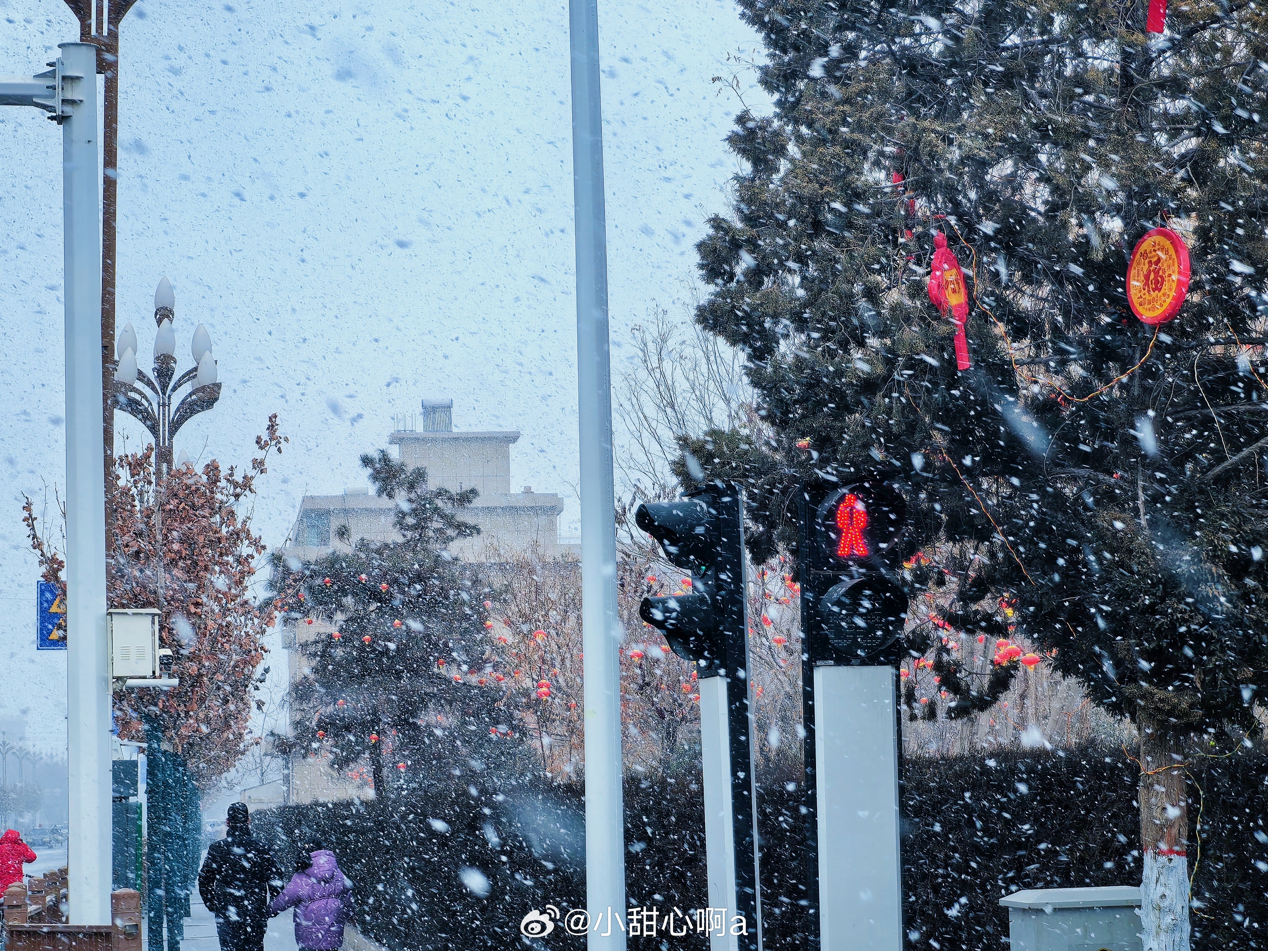 我市小雪天气纪实