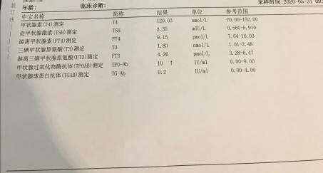 新澳门天天开好彩大全开奖记录,实证分析说明_Tizen61.930