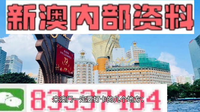 2024新澳门正版精准免费大全,动态解释词汇_战略版27.298