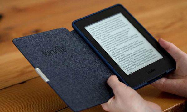 新澳门正版免费资料怎么查,全面数据策略实施_Kindle76.263