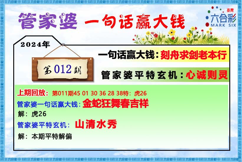 2004管家婆一肖一码澳门码,高效实施设计策略_特供版32.370