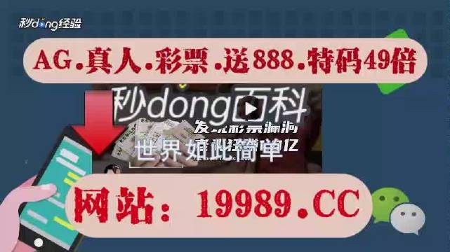 2024澳门特马今晚开奖亿彩网,标准化实施程序解析_经典版72.36