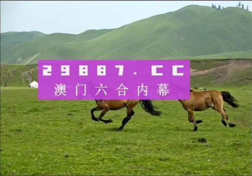 7777788888新版跑狗图,实地考察分析_HD91.188