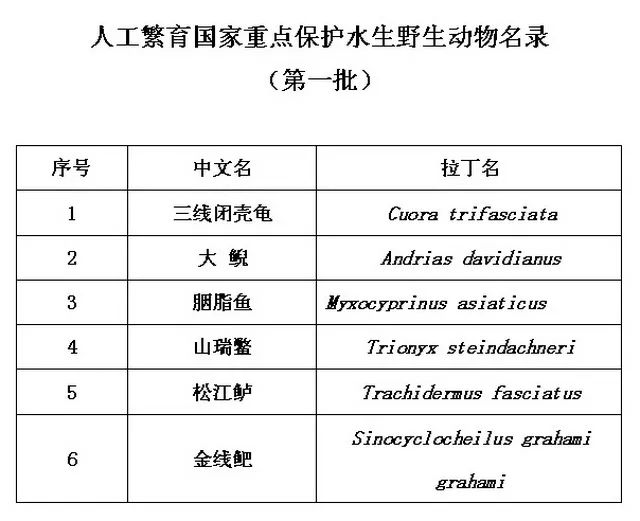 新澳今晚上9点30,科学数据评估_DX版72.493