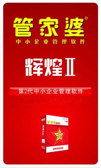 2024管家婆资料正版大全,统计分析解析说明_XT50.973