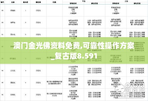 澳门正版金光佛资料,全面理解执行计划_YE版72.106