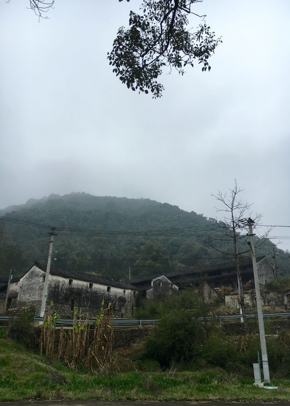 檀溪镇天气预报更新通知