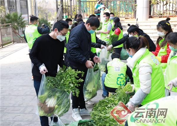 呈贡县医疗保障局招聘启事，最新职位空缺及要求