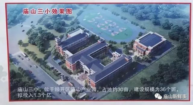 加查县小学发展规划概览